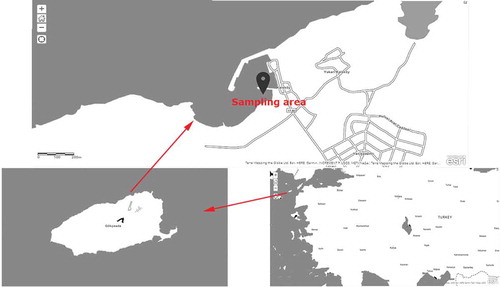 Figure 1. Map of study area.