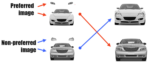 Figure 3. The question of the present study.