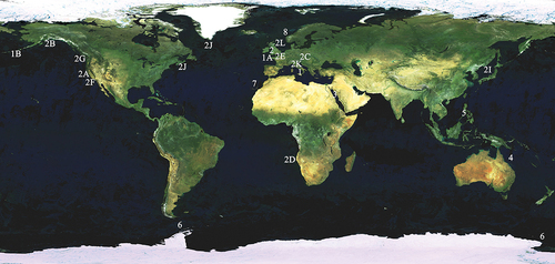 Figure 1. Distribution of the genus Myxicola worldwide. For codes, see Table I.