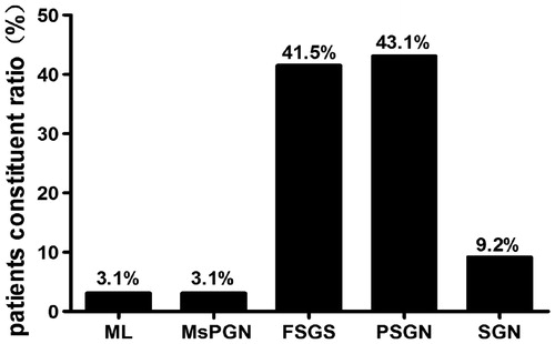 Figure 1. Pathological diagnoses distribution of 65 cases by WHO Classifications.