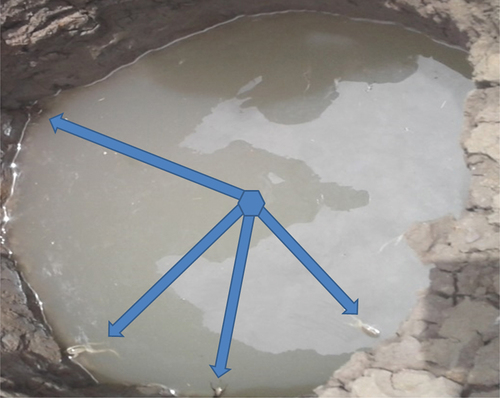 Figure 2. Partial view showing the dead amphibians and insects in a hand dug well at the study area.