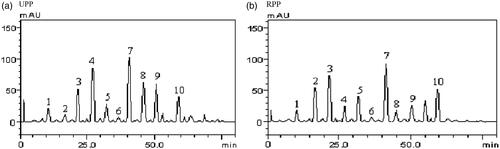 Figure 2. HPLC chromatograms of UPP and RPP. Peaks 1–10 represent gallic acid, catechin, chlorogenic acid, caffeic acid, ellagic acid, epicatechin, rutin, quercitrin, quercetin and kaempferol.