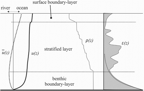 Figure 1. Basic structure of a dynamic partially stratified estuary, showing: water column structure for velocity (showing both instantaneous–in this case ebb = u(z) and mean ‘estuarine circulation’ = u dotted) and density ρ with benthic and surface boundary-layers with and intermediate stratified later. The boundaries and internal shear produce turbulence which is dissipated at rate ε (the dotted line is an indicative law of the wall decay). The instantaneous velocity profile oscillates back and forth with the tidal ebb and flood generating a highly variable dissipation rate structure.