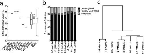Figure 5. DNMT3A p.P709S is associated with decreased DNA methylation in germline samples