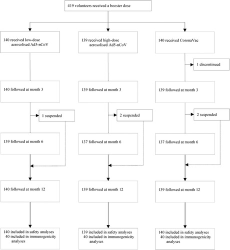 Figure 1. Study profile. Ad5-nCoV = orally administered aerosolised adenovirus type-5 vector-based COVID-19 vaccine carrying full-length SARS-CoV-2 spike gene. CoronaVac = intramuscularly administered inactivated whole-virion SARS-CoV-2 vaccine.