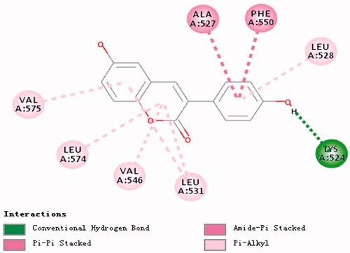 Figure 11. Research on molecular docking of compounds 14 and BSA.