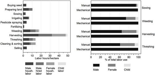 Figure 3. Labor use in mungbean production (left) and the relative contribution of male, female and child labor in manual and mechanized mungbean production (right), Pakistan, 2016.Note: Pothwar region (n = 50), southern Punjab (n = 62) and Sindh province (n = 53).