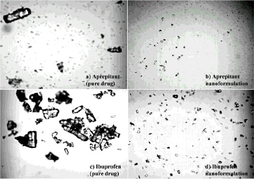 Figure 4. Optical microscopy of aprepitant, ibuprofen and its nanoformulations.