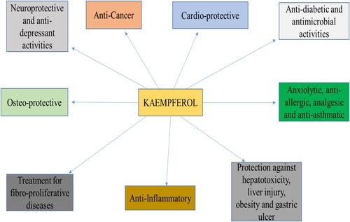 Figure 2. Health benefits of kaempferol.