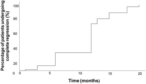 Figure 3. Tumor disappearance time curve after ablation. 46.3% of tumors completely disappeared within 12 months during their follow-up period.