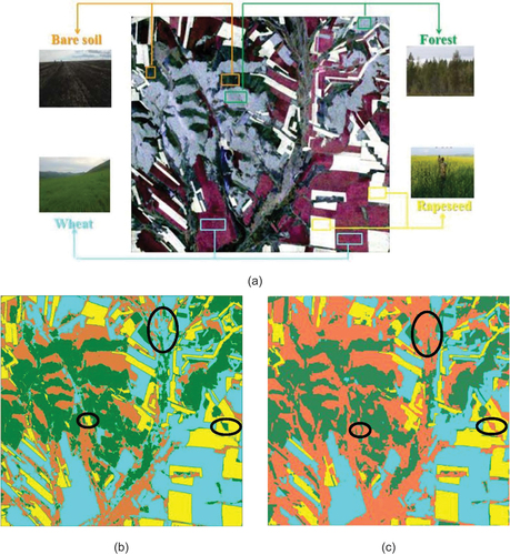 Figure 4. Classification results for the Yunnan dataset: (a) the ground-truth map; (b) the classification result of the SSSCNN method; (b) the classification result of the proposed method.