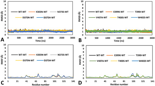 Figure 2. MD results obtained for the nine dimeric models of hRPE65 including K303N, N373S, D375N, D375H, E399K, T390I, V407A, T400S and W402S variants. A), B) RMSD of the DMS α carbons during 3 µs of MD simulation obtained for the mutated monomers compared to WT. C), D) RMSF of the α carbons of the whole mutant monomers compared to WT.