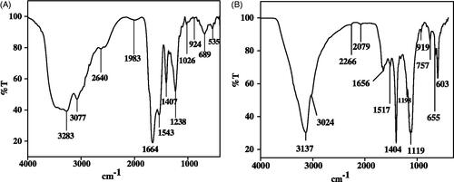 Figure 2 FTIR spectrum of (A) SAG and (B) SAG-Sh-SeNPs.