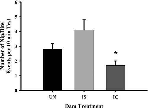 Figure 2 The frequency of nip/bite behavior by dam treatment groups on PPD eight. Each bar represents least squares mean (LSM) and standard error ( ± SEM) for n = 80 untreated (UN), 76 intermittent saline (IS), and 70 IC-treated (IC) dams. As indicated by the asterisk, results indicate a significantly lower frequency of nip/bite in the IC-treated dams compared to both the UN (p ≤ 0.05) and IS (p ≤ 0.01).