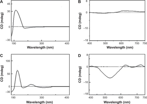 Figure 3 CD spectra of RGDFRGDS (A and B) and Cu2+-FS (C and D).Notes: (A) CD spectra of RGDFRGDS in the range 190–400 nm. (B) CD spectra of RGDFRGDS in the range 400–750 nm. (C) CD spectra of Cu2+-FS ranging from 190 nm to 400 nm. (D) CD spectra of Cu2+-FS ranging from 400 nm to 750 nm.Abbreviations: CD, circular dichroism; RGDFRGDS, Arg-Gly-Asp-Phe-Arg-Gly-Asp-Ser; Cu2+-FS, Cu2+-Arg-Gly-Asp-Phe-Arg-Gly-Asp-Ser.