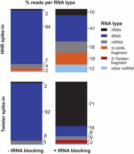 Figure 2. Percent of sequencing reads captured for selected RNA types in E. coli total RNA. E. coli total RNA was spiked with either the 5ʹ-fragment of a HHR (top) or 3ʹ-fragment of a twister ribozyme (bottom) at a ratio of 1:1,000. ‘other ncRNA’ refers to RNAs other than rRNAs, tRNAs and self-cleaving ribozymes added. Strategy with blocking of mature tRNAs (right) reveals a decrease in tRNA and increase of captured 5ʹ-HHR and 3ʹ-twister fragments