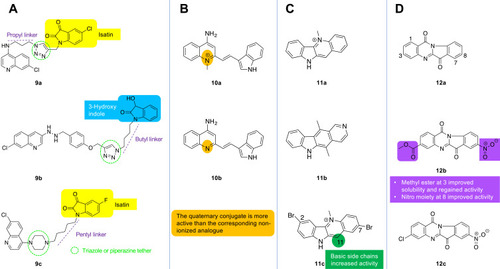 Figure 5 Chemical structures of conjugated indole analogues; (A) The optimal length of the linker connecting the triazolyl or piperazinyl tether to isatin or 3-hydroxyindole various from ethyl to pentyl alkyl in isatin-chloroquine conjugates (9a–9c); (B) Conjugates of indol-3-yl with quinoline (10a) or quinolinium (10b); (C) The chemical structures of cryptolepine (11a), ellipticine (11b) and 2,7-dibromocryptolepine (11c); (D) The chemical structure of tryptanthrin (12a), and its more soluble 3-methyl ester (12b) and 3-chloro (12c) derivatives.