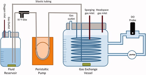 Figure 1. Experimental set-up. In vitro oxygenation set-up used to simulate gas exchange and oxygen delivery from the lungs (fluid reservoir) to hypoxic tissues (gas exchange vessel).