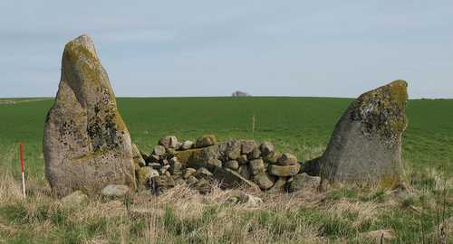 Figure 3. General view from south of Nether Corskie (Photo by author).