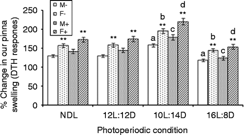 Figure 2.  LPS treatment and DTH (pinna swelling) under different photoperiods. Squirrels were sensitized and tested by cutaneous oxazolone application; NDL, 12L:12D, 12 h light 12 h dark; SD, 10L:14D; LD, 16L:8D, N = 7 per group. Data are Mean +/ − SEM. **p < 0.01 vs. respective female treatment in the same photoperiodic group; paired t-test; a: p < 0.01 vs. control males in NDL group; b: p < 0.01 control females in NDL group; c: p < 0.01 vs. LPS-treated males in NDL group; d: p < 0.01 vs. LPS-treated females in NDL group; one-way ANOVA followed by post-hoc test Tukey's HSD. M − : untreated, control, male; F − : untreated, control, female; M+: LPS-treated male; F+: LPS-treated female.
