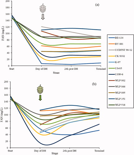 Figure 7. Total FAN concentration in fermenting beer for each yeast treatment of the non-hopped (a) and dry-hopped (b) treatments, measured on the day of dry-hopping, 24 h after dry-hopping, and at terminal gravity. Amino acid concentrations were measured via ion exchange chromatography, converted to FAN (excluding proline), and reported in mg/L. n = 1 for each yeast pair represented here.