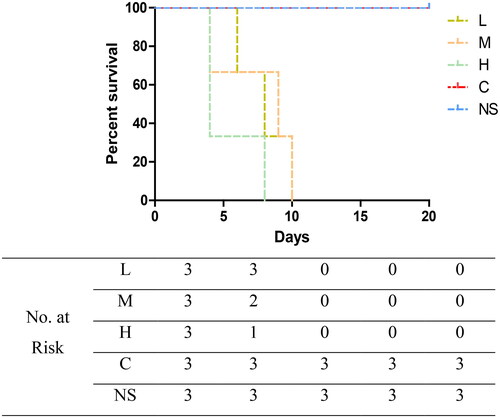 Figure 9. Effect of fecal bacteria transplantation on the survival of mice suffering from epilepsy.