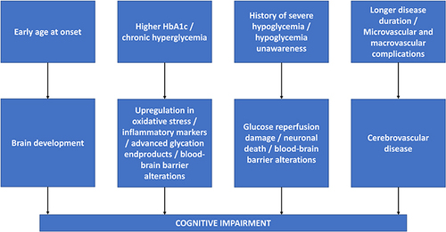 Figure 1 A schematic overview of factors related to cognitive impairment in older people with T1D. On top are factors that have been found to be related to cognitive impairment. In the middle, some factors have been added which can be considered a consequence of T1D and may play a mediating role in these factors relating to cognitive impairment.