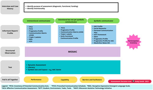 Figure 1. Assessment decision tree.
