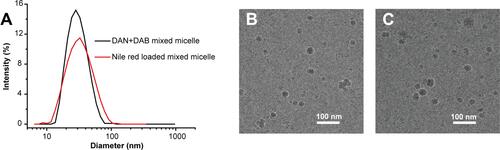 Figure 3 The characterizations of DAN/DAB-PPS-mPEG mixed micelles. (A) The size distributions of DAN/DAB-PPS-mPEG mixed micelles and Nile Red loaded mixed micelles; (B) The SEM graph of DAN/DAB-PPS-mPEG mixed micelles; (C) The SEM graph of Nile Red loaded mixed micelles.