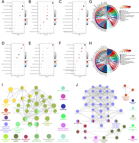 Figure 5 Pathway enrichment analysis of DEFRGs and DEPRGs. (A-C) show BP, CC, and MF analyses in GO for DEFRGs, respectively; (D-F) show BP, CC, and MF analyses in GO for DEPRGs, respectively; (G and H) shows KEGG analyses for DEFRGs and DEPRGs, respectively; and (I and J) below are ClueGO analyses for DEFRGs and DEPRGs, respectively.