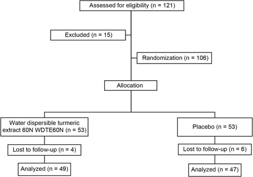 Figure 1 Subject flow diagram.