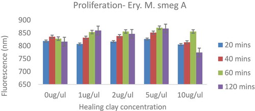 Figure 3. Proliferation of MDR Mycobacterium smegmatis in the absence or presence of healing clay