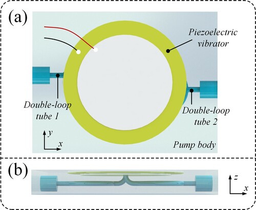 Figure 5. Structure of VPMGRF. (a) Vertical view of VPMGRF; (b) Front view of VPMGRF.