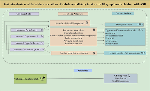 Figure 9. The summary of the modulating role of gut microbiota on the associations of unbalanced dietary intake with GI symptoms in children with ASD.