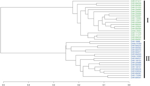 Figure 5. UPGMA dendrogram obtained from 22 morphological characters recorded from 37 Haastia pulvinaris specimens. Specimens are labelled with their CANU or CHR accession number. Specimens forming the cluster I are those identified as H. pulvinaris var. pulvinaris. Cluster II is composed of H. pulvinaris var. minor specimens.
