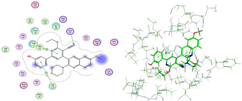 Figure 10. 4c, ligand–enzyme interaction 2D (left) and 3D (right) inside PIM-1 kinase active site.