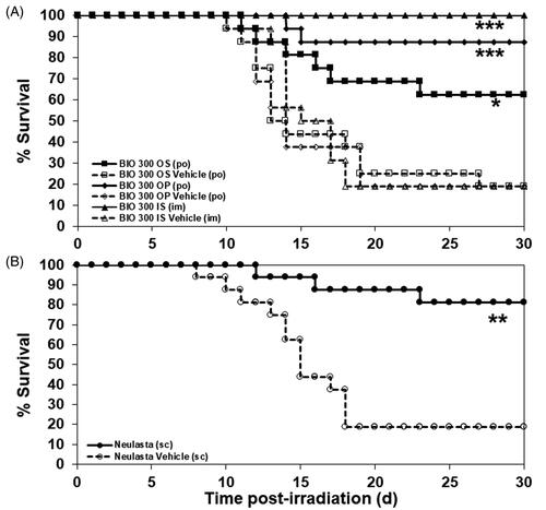 Figure 2. The Kaplan–Meier curves of 30-day survival of CD2F1 mice administered BIO 300 IS, OP, OS, or Neulasta. (A) Mice (n = 16/group) were administered BIO 300 IS (200 mg/kg) or its vehicle by im 24 h prior to TBI. BIO 300 OP (200 mg/kg) and BIO 300 OS (200 mg/kg) or their respective vehicle controls were administered BID, po to mice for 6 d prior to TBI. (B) Mice (n = 16/group) were administered Neulasta (300 µg/kg) sc or its vehicle 24 h post-TBI. All animals were irradiated with 9.2 Gy cobalt-60 (0.6 Gy/min, approximately LD70/30). Survival was monitored for 30 d post-TBI. *Statistical significance at day 30 between the drug treated group and respective vehicle control as determined by log-rank test (*p<.05, **p<.01, ***p<.001).