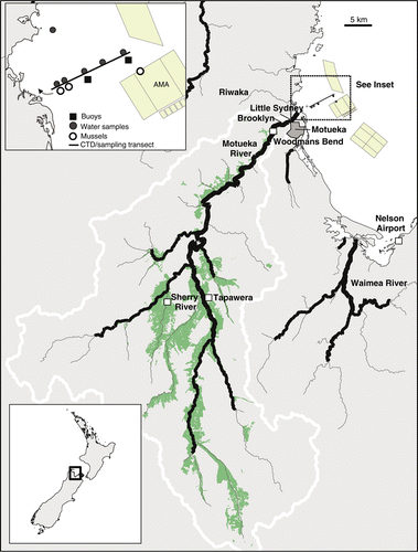 Figure 1  Map of study area showing the Motueka River Catchment, river sampling locations, weather stations at Tapawera and the Nelson Airport and locations of boat surveys and monitoring buoys. Land used for pastoral farming is shaded in green. The aquaculture management areas (AMAs) are shown as is the area of the catchment classified as high producing grassland for pastoral farming (shaded area; data from Land Cover Database, NZ Ministry for the Environment). The small line with arrow in the inset shows the path of GPS drifters.