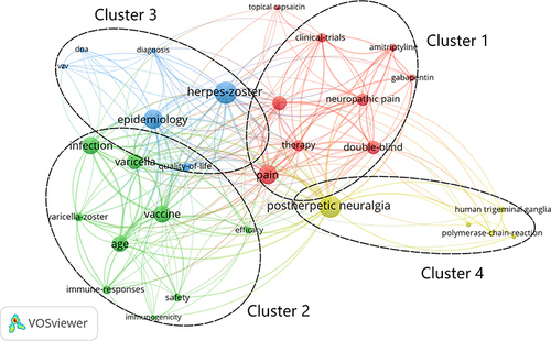 Figure 7 Map of keyword clustering in herpes zoster research.