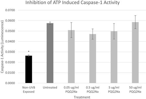 Figure 8 Caspase-1 assay results expressed in luminescence on ATP-treated NHEKs treated with various levels of PQQ2Na. No statistically significant changes were noted at any concentrations of PQQ2Na. Asterisks indicate statistical significance (p ≤ 0.05) versus untreated control.