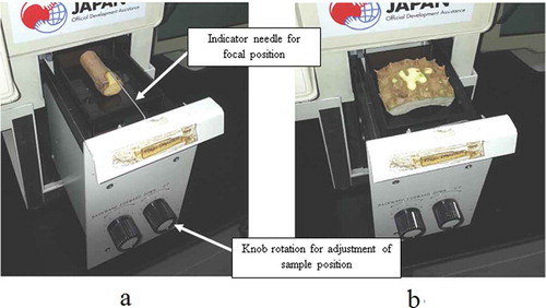 FIGURE 2 Photographs showing (a) the stem and (b) the rind placed in the sample holder. Knob rotations are used to move the samples horizontally and vertically to the focal position for irradiation as indicated by the needle.