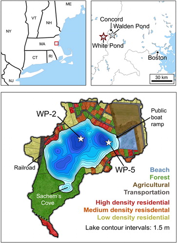 Figure 1. Site maps. (Top left) New England with Concord–Boston area highlighted, modified from Wikimedia Commons. (Top right) White and Walden Ponds in relation to Concord and Boston, modified from d-maps.com. (Bottom) Map of the White Pond watershed, with a contour map of the pond and land use classification of surrounding properties. Coring sites within the pond are indicated with stars. Land use map modified from ESS Group (Citation2016–2017), based on Town of Concord parcel data and USGS aerial imagery; contour map modified from MassWildlife (Citation2020).