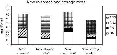 Figure 4  Original nitrogen (ON) and absorbed nitrogen (AN) fractions in new rhizomes and new storage roots at harvest (Stage 3: 24 weeks after planting).