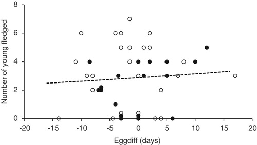 Figure 7. The numbers of young fledged from all nests (including failed nests) against EGGDIFF for Periods A & B (○ = Period A, n = 25; ● = Period B, n = 18). Some of the points have been plotted with ‘jitter’ to show multiple records with the same numbers of young fledged and EGGDIFF. The trend with EGGDIFF was not significant – see text for details.