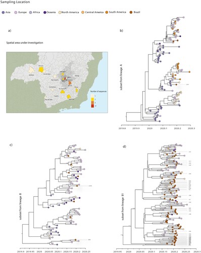 Figure 4. Bayesian analysis of the SARS-CoV-2 isolated in the state of MG, Brazil. (a) Map of the MG state showing the number of SARS-CoV-2 new sequences by patient´s municipality. (b) Molecular clock phylogeny of a subset of lineage A viruses, including one new sequence from MG. (c) Molecular clock phylogeny of a subset of lineage B viruses, including two new sequences from MG. (d) Molecular clock phylogeny of the subset from sublineage B.1, including 37 new sequences from MG. In all cases, the numbers along branches represent posterior probabilities while colours represent different sampling locations.