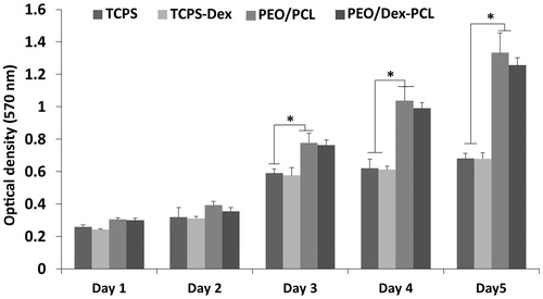 Figure 4. Viability of adipose tissue-derived MSCs seeded on TCPS-Dex, PEO/PCL, PEO/Dex-PCL, and TCPS as control during 5 days culture period (Significant difference between the groups at *P < 0.05).
