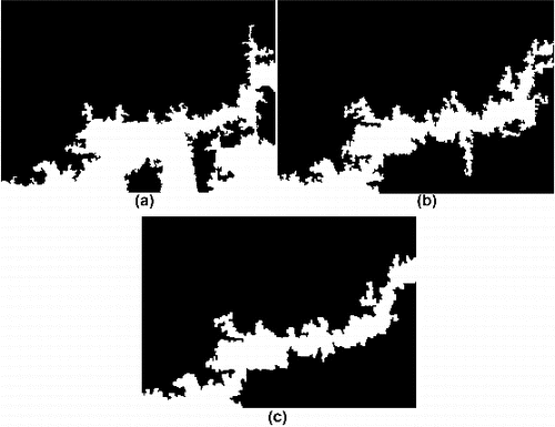 Figure 5. Debris zone results for IKONOS imagery based on classification approach: (a) spectral only; (b) textural only; (c) spectral–textural (white = debris class, black = non-debris class).