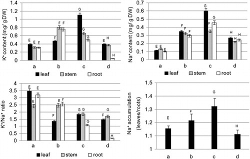 Figure 2. K+ content, Na+ content, K+/Na+ ratio, and Na+ accumulated ratio in different saline and alkaline stress (a: Hoagland solution as control treatments; b: NaCl 100 mM; c: NaCl 200 mM; and d: NaHCO3 100 mM). Different capital letters (E, F, G, and H) indicate significantly different values (P <0.05).