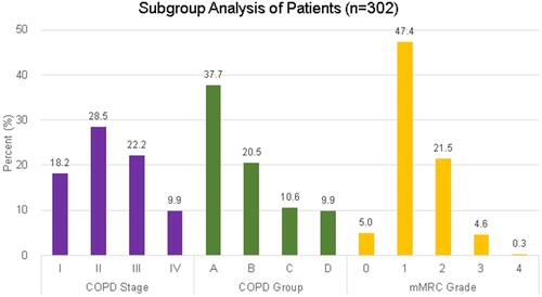 Figure 2 Subgroup analysis of patients (n = 302).