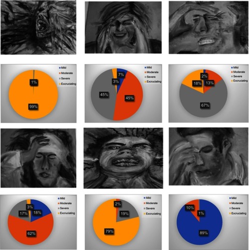 Figure 3 Image selection by healthy participants.